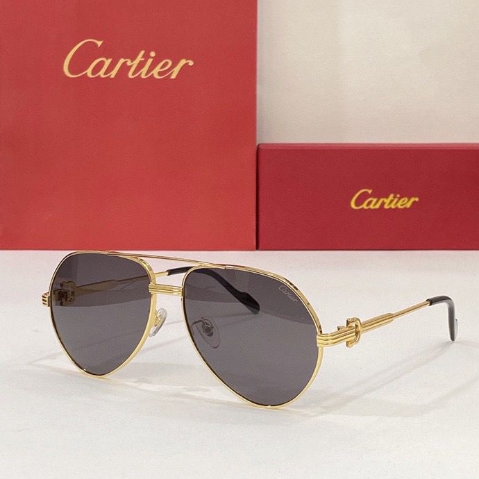 Cartier Sunglass AAA 047